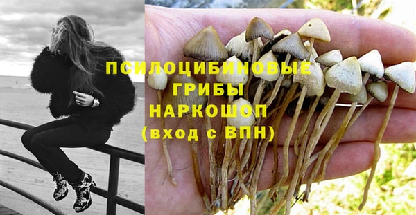дживик Алексеевка